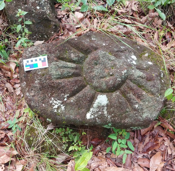 Các hình khắc trên đá bao gồm hình xoắn ốc, các hạt tròn dùng để đếm thời gian, họa tiết giọt nước, mô hình sân bóng, hình người đeo khăn choàng ngực tròn đội mũ lông vũ, và hình ảnh một con báo đốm có thân mình được điểm xuyết những chấm nhỏ. Hình khắc mặt trời có khuôn mặt được xác định chi tiết. Ảnh: @Viện Nhân chủng học và Lịch sử Quốc gia Mexico.