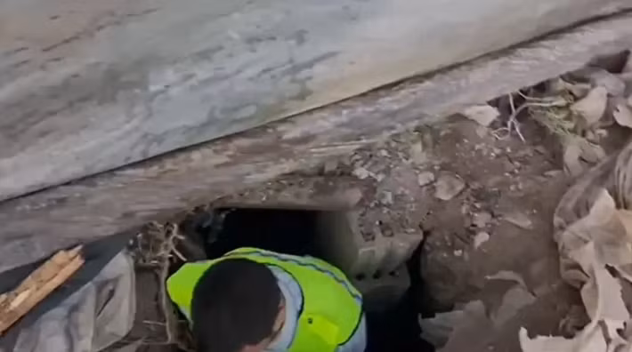 Bức tranh khảm này nằm sâu 2 mét dưới lòng đất và được bịt kín nằm bên dưới một khối bê tông. Ảnh: @Bảo tàng Mardin.