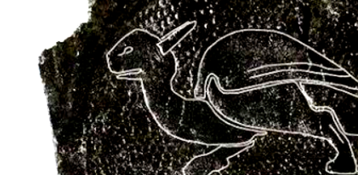 Nhìn chung, đây có thể là hình rồng hoặc là một loài thú thần thoại nào đó. Ảnh: @Viện Nghiên Cứu Khảo Cổ York Archaeological Trust.