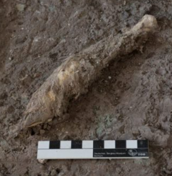 Trong chiếc hộp này chứa ba chân cừu hoặc dê. Ảnh: @Viện Nghiên cứu Di sản Văn hóa và Du lịch Iran.