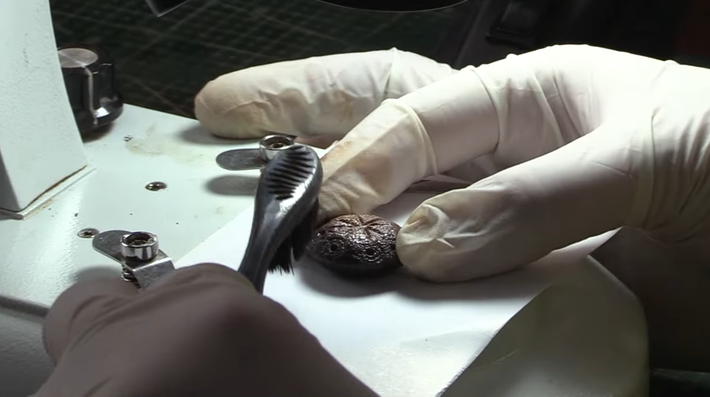 Phó Giáo sư - Tiến sĩ Ersin Çelikbaş, giảng viên Khoa Khảo cổ học thuộc Đại học Karabük, cho biết, hai đồ vật bằng xương này được cho là đã được sử dụng trong các trò chơi chiến lược quân sự. Ảnh: @Đại học Karabük.