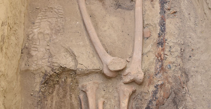 Ngôi mộ này thuộc về một chiến binh có từ thời Avar. Ảnh: @Bảo tàng Szent István Király.