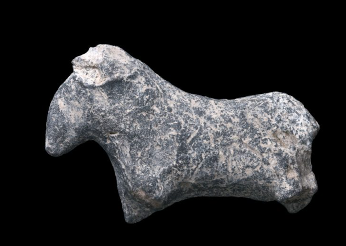 Các bức tượng nhỏ quý hiếm mô tả hình con người và động vật, đồ gốm và nhiều công cụ khác nhau, một số trong đó mang từ Ai Cập tới. Ảnh: @Cơ Quan Cổ Vật Israel.