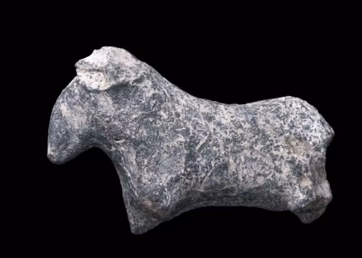 Các bức tượng nhỏ quý hiếm mô tả hình con người và động vật, đồ gốm và nhiều công cụ khác nhau, một số trong đó mang từ Ai Cập tới. Ảnh: @Cơ Quan Cổ Vật Israel.