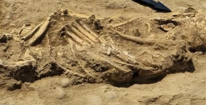 Các kỹ thuật thăm dò, phân tích khảo cổ học chuyên sâu cho thấy, ngôi mộ này thuộc về một chiến binh người SaKa. Ảnh: @Bảo tàng Lịch sử Khu vực Karaganda.