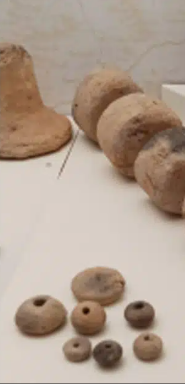 Tuân thủ pháp luật, Nicolò Naturani lập tức báo cho cha mình, và người cha báo lên các cơ quan chức năng có thẩm quyền. Ảnh: @Bảo tàng Khảo cổ học Thành phố Piacenza.