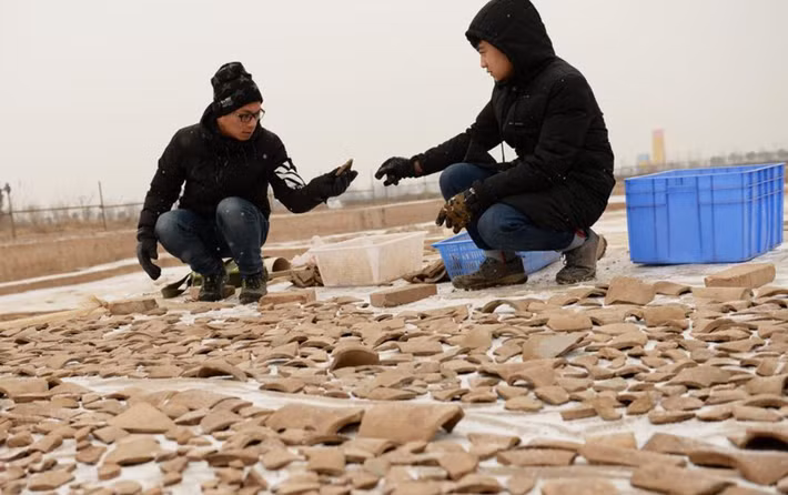 Zhang Yanglizheng, một nhà khảo cổ học tại Viện Nghiên cứu Khảo cổ học tỉnh cho biết, tại tàn tích của công trình, nhóm tìm thấy bốn phòng bằng nhau với tường đất sét, trải rộng trên quy mô dài 110 mét và rộng 19,5 mét. Ảnh: @Viện Nghiên cứu Khảo cổ học tỉnh Thiểm Tây.