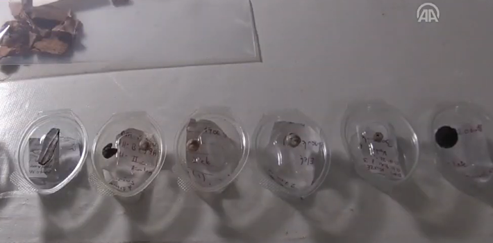 Việc tìm thấy xương và các hộp sọ gấu và chồn nhấn mạnh rằng, điều này có ý nghĩa quan trọng đối với hệ thống tín ngưỡng ngoại giáo của thời kỳ đó. Ảnh: @Đại học Ankara Hacı Bayram Veli.