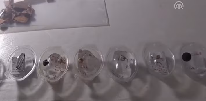 Việc tìm thấy xương và các hộp sọ gấu và chồn nhấn mạnh rằng, điều này có ý nghĩa quan trọng đối với hệ thống tín ngưỡng ngoại giáo của thời kỳ đó. Ảnh: @Đại học Ankara Hacı Bayram Veli.