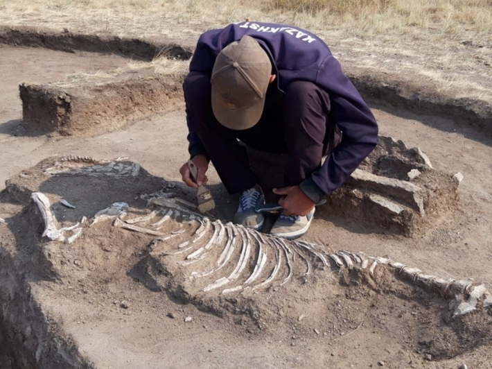 Ngôi mộ cũng chứa hài cốt của một con ngựa và yên cương. Ảnh: @Viện Khảo cổ học Saryarkinsky.