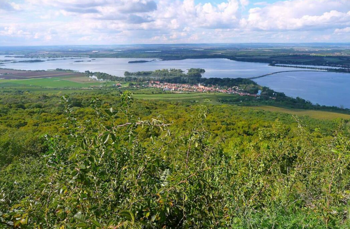 Khi tiến hành khai quật tại địa điểm khảo cổ Dolní Věstonice ở Cộng hòa Séc, các chuyên gia đến từ Viện Nghiên Cứu Khảo Cổ Cộng hòa Séc bất ngờ tìm thấy vật thể lạ. Ảnh: @Viện Nghiên Cứu Khảo Cổ Cộng hòa Séc.