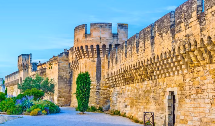 Khi tiến hành khai quật tại Avignon, miền nam nước Pháp, các chuyên gia đến từ trường Đại học Bordeaux Montaigne, Pháp bất ngờ tìm thấy một ngôi mộ cổ kỳ lạ. Ảnh: @Đại học Bordeaux Montaigne.