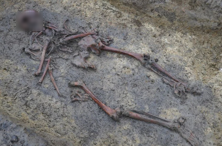 Michael Borre Lundo muốn kiểm tra các mô hình xã hội, bao gồm quan hệ họ hàng và di cư từ thời Viking và từ đó sẽ hiểu được các câu chuyện cuộc đời của họ thông qua phân tích DNA. Ảnh: @Michael Borre Lundo.