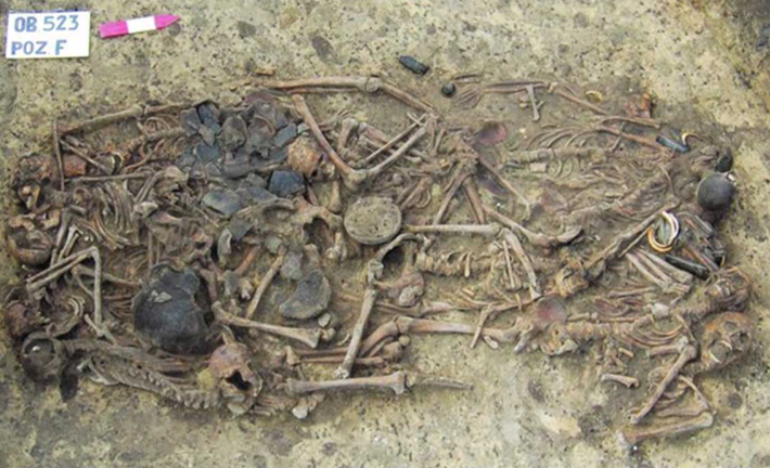 Các kỹ thuật thăm dò, phân tích ADN khảo cổ học chuyên sâu cho thấy, đó là 15 bộ hài cốt thuộc về những người đàn ông, phụ nữ trưởng thành và cả trẻ em. Ảnh: @Bảo Tàng Quốc Gia Ba Lan.