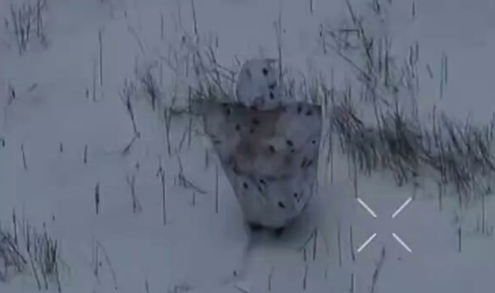 Các binh sĩ Ukraine tham gia vào cuộc giao tranh này cho biết, bộ đồ ngụy trang “Chim Cánh Cụt” không che giấu được thân phận mà ngược lại còn thu hút sự chú ý do hình dạng quá lớn và khả năng di chuyển bất thường. Ảnh: @Defence_blog.