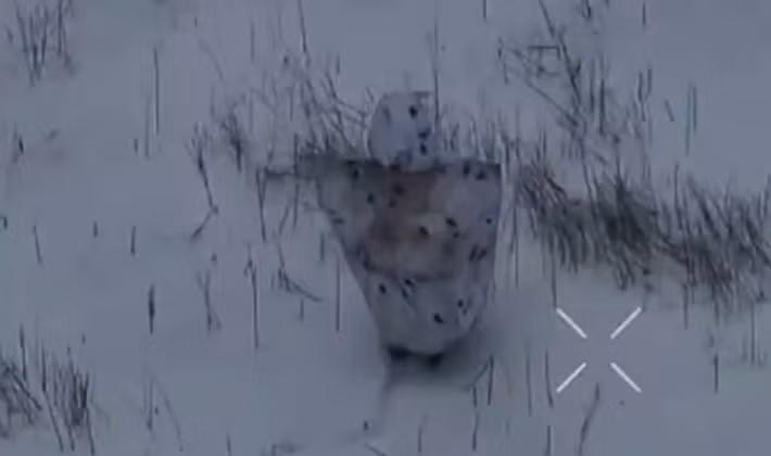 Các binh sĩ Ukraine tham gia vào cuộc giao tranh này cho biết, bộ đồ ngụy trang “Chim Cánh Cụt” không che giấu được thân phận mà ngược lại còn thu hút sự chú ý do hình dạng quá lớn và khả năng di chuyển bất thường. Ảnh: @Defence_blog.