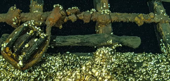 Hy vọng rằng các nghiên cứu dự kiến ​​về xác tàu trong mùa lặn năm 2026 có thể cung cấp thêm thông tin chi tiết về nguồn gốc của nó, ai vận hành nó và điều gì đã khiến nó bị chìm. Ảnh: @Hội đồng Khảo sát dưới nước Ontario.