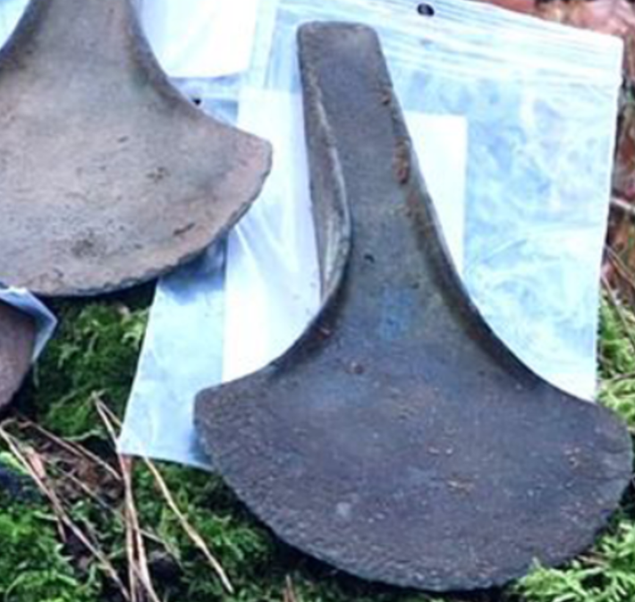 Đặc trưng bởi kích thước khá lớn, những chiếc rìu này có cán thon với các cạnh được nâng cao và lưỡi rộng. Ảnh: @Cơ quan Bảo tồn Di tích Quốc gia Pomerania.