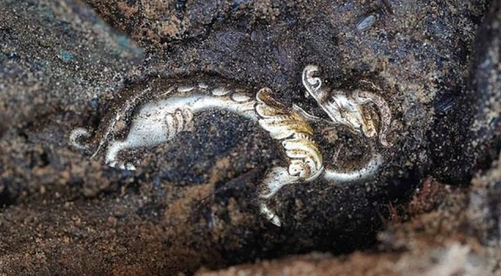 Hai tượng con rồng với sừng, mắt, răng và lông vũ được chạm khắc một cách rất thẩm mỹ và tỉ mỉ, tinh tế, độc đáo. Ảnh: @Tiến sĩ Lan Wanli.