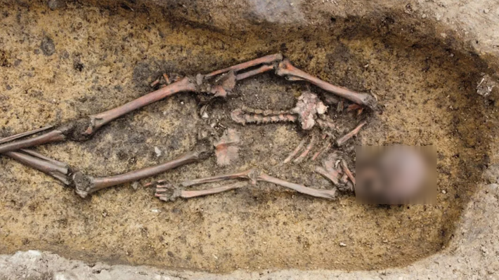 Người ta cho rằng, những bộ hài cốt này có niên đại từ thế kỷ thứ 9 Sau Công Nguyên, dưới thời trị vì của Gorm và Thyra ở Jelling, Đan Mạch. Ảnh: @Michael Borre Lundo.