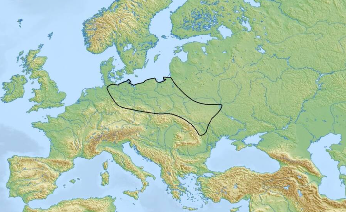 Các quan chức cho biết, mảnh vỡ này rõ ràng là một phần của một chiếc rìu lớn hơn, và dựa trên phân tích của họ, chiếc rìu này có khả năng được tạo ra bởi một cộng đồng người Thời Kỳ Đồ Đá Mới được gọi là văn hóa Globular Amphora. Ảnh: @Cơ quan Bảo tồn Di tích tỉnh Lublin.