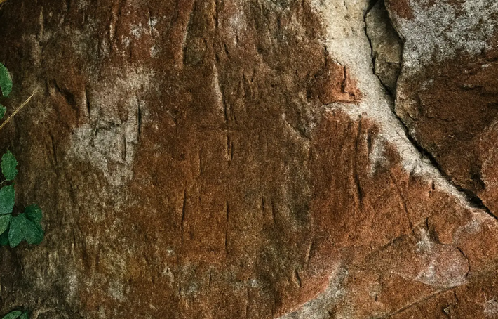 Di tích này chứa các khối đá có khắc đường nét chạm khắc các họa tiết hình học trừu tượng biểu thị nghệ thuật đá cổ xưa. Ảnh: @Khu bảo tồn động vật hoang dã Phu Khat.