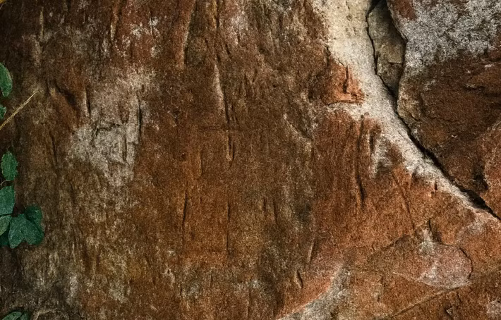 Di tích này chứa các khối đá có khắc đường nét chạm khắc các họa tiết hình học trừu tượng biểu thị nghệ thuật đá cổ xưa. Ảnh: @Khu bảo tồn động vật hoang dã Phu Khat.