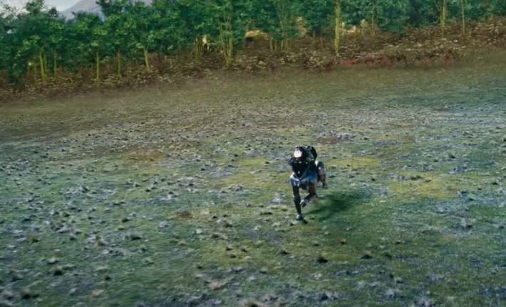 Những móng guốc này có thể thích nghi với nhiều địa hình khác nhau, bao gồm đồng cỏ, vùng đá hay bãi đổ nát.Ảnh: @Kawasaki.