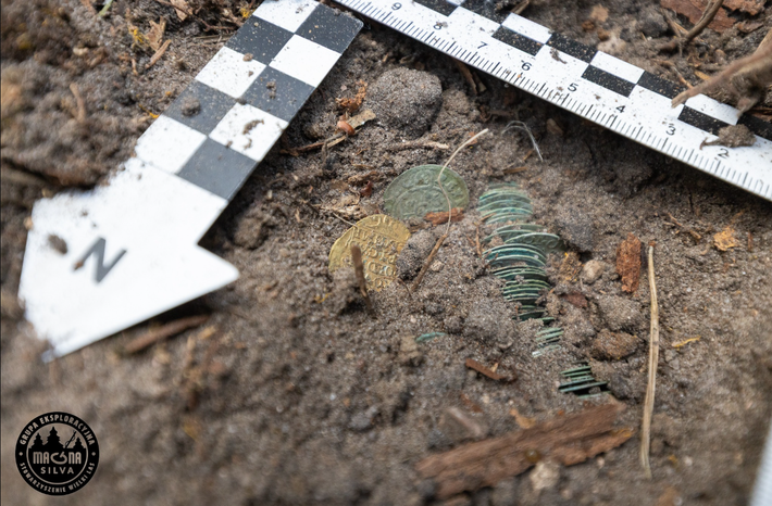 Còn lại, những đồng tiền xu khác được phát hành dưới thời Sigismund III Vasa, Vua Ba Lan và Thụy Điển, thuộc về một trong những triều đại lừng lẫy nhất thời bấy giờ. Ảnh: @Wielki Las.