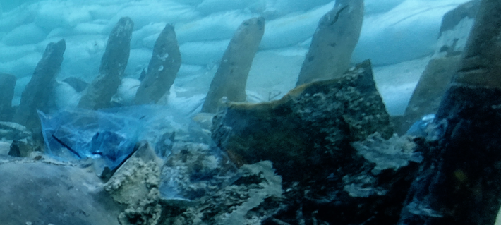 Các nhà nghiên cứu cho biết, con tàu là một chiếc oneraria lớn, một loại tàu chở hàng của La Mã được thiết kế để vận chuyển hàng hóa nặng trên quãng đường dài. Ảnh: @Ministero della Cultura.