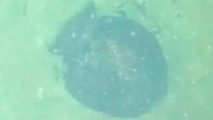 Chiếc bình gốm có đế nhọn với các họa tiết chạm khắc đặc trưng của phong cách Jinguji thuộc truyền thống văn hóa Konami Upper-layer bản địa cổ xưa. Ảnh: @Viện Nghiên cứu Hàng hải Quốc gia Nhật Bản.