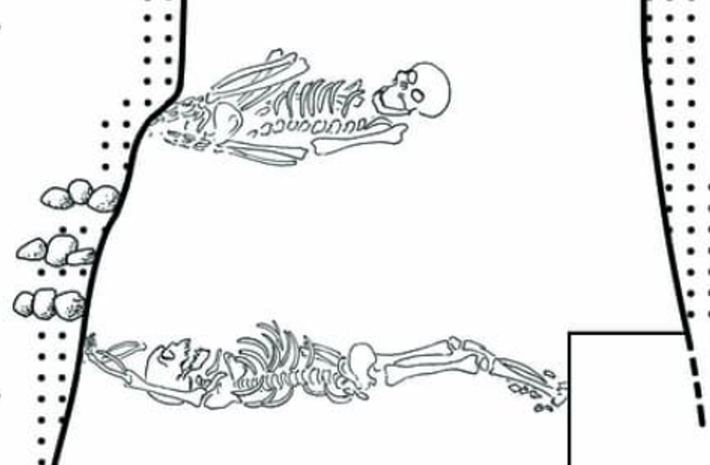 Cả hai đều yếu ớt, ốm yếu và suy dinh dưỡng khi còn nhỏ, nhưng khi trưởng thành họ ăn nhiều thịt hơn và làm những công việc nặng nhọc, theo ghi nhận của nghiên cứu. Ảnh: @ J.Vondra.