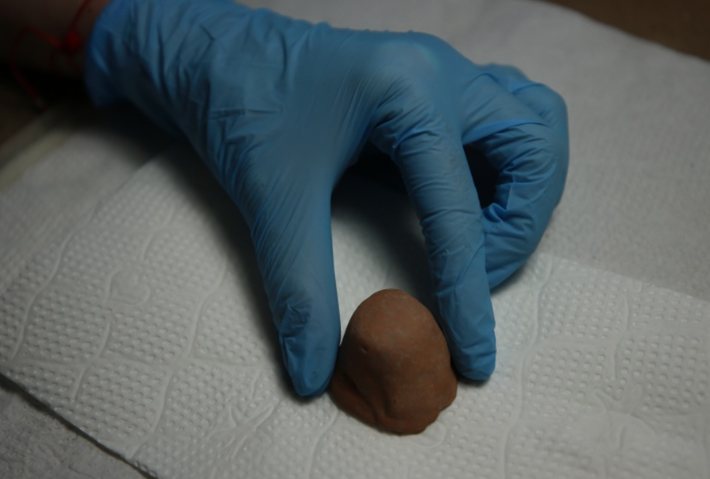 Nó được tìm thấy trong tàn tích của một ngôi đền thờ cúng thần linh địa phương. Ảnh: @Đại học Çanakkale.