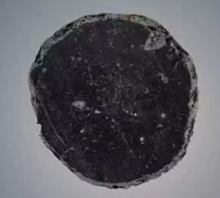 Chiếc gương đá obsidian này được đánh bóng kỹ lưỡng, đòi hỏi kỹ thuật chế tác cao và nó có ý nghĩa văn hóa quan trọng. Ảnh: @Nhóm khai quật khảo cổ Canhasan.