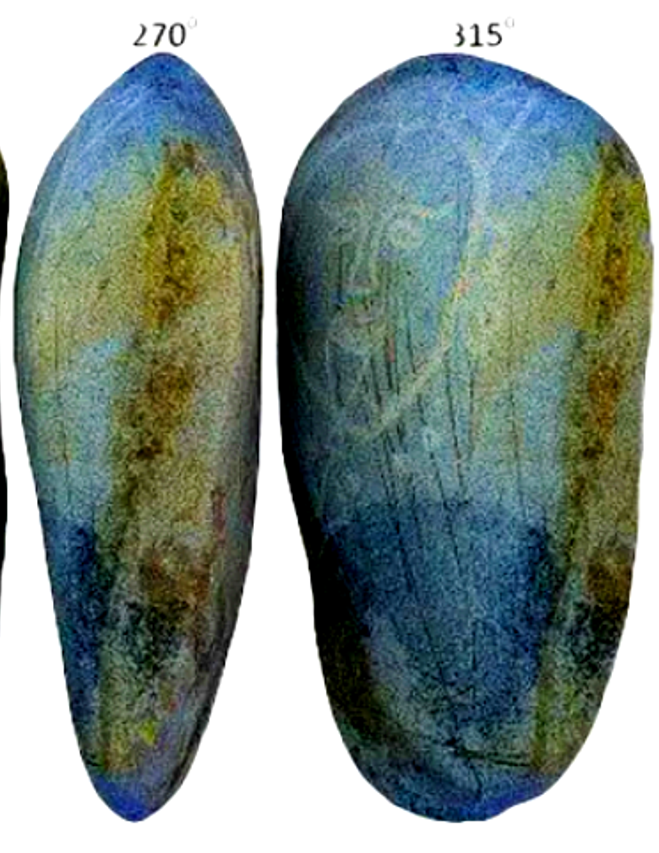 Giáo sư Alexey Tishkin, người dẫn đầu cuộc khai quật, cho biết: “Hình tượng người phụ nữ có đầu ba sừng là bằng chứng hiếm hoi về biểu tượng và nghi lễ của thời kỳ đầu nền văn minh Turkic”. Ảnh: @Viện Nghiên Cứu Thổ Nhĩ Kỳ Và Altaistics.