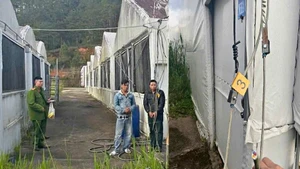 Hai nghi phạm vận chuyển dây điện trộm cắp bị Công an xã Lạc Dương bắt giữ