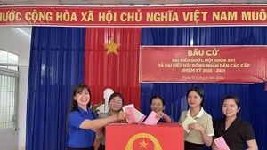 Cà Mau ghi nhận 10 xã, phường hoàn thành 100% cử tri bỏ phiếu