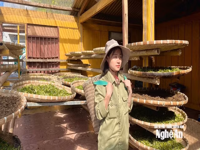 baonghean.jpg