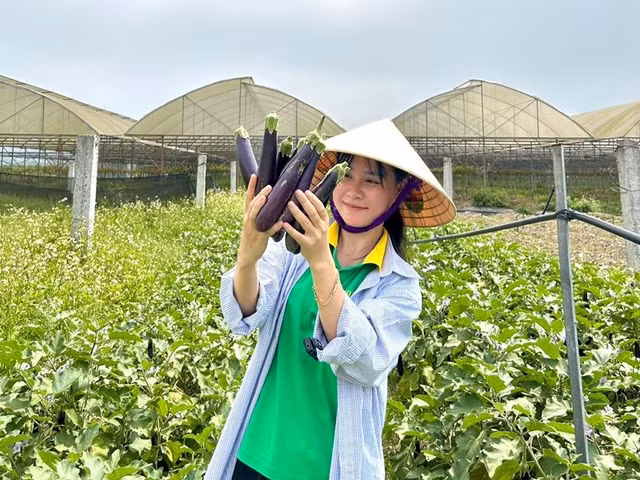 danviet1.jpg