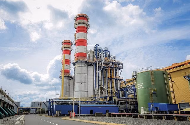 Hoa chat Duc Giang mua lai tai san 'no nan' tai Dak Nong