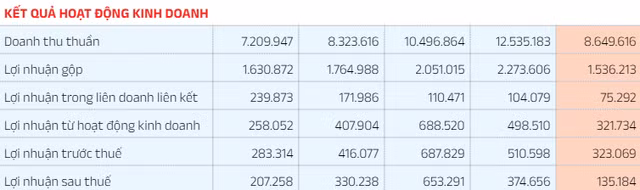 KDC: Doanh thu va loi nhuan sut giam, van dung dau nganh kem-Hinh-2