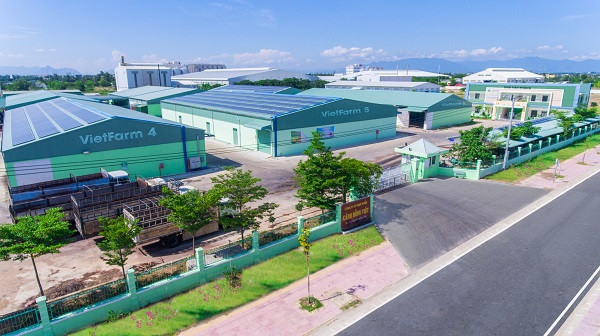 Thực phẩm G.C thay đổi nhân sự hội đồng quản trị Thuc pham G.C thay doi nhan su hoi dong quan tri
