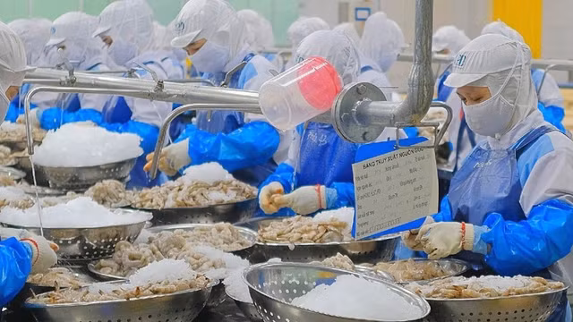 FMC duoc khuyen nghi kha quan, muc tieu 55.500 dong/co phieu