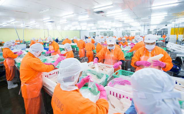Lợi nhuận của Thủy sản Nam Việt năm 2023 chỉ đạt 10,9% kế hoạch - Hình 2 Loi nhuan cua Thuy san Nam Viet nam 2023 chi dat 10,9% ke hoach-Hinh-2