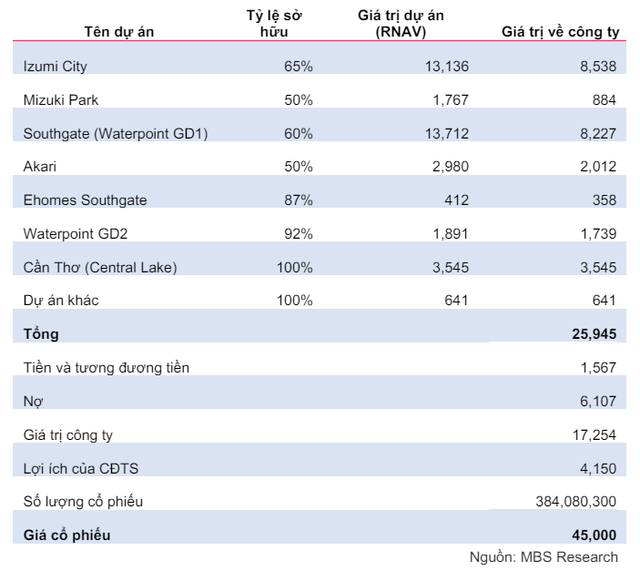 Gia hop ly cua NLG tai thoi diem cuoi nam 2024 la 45.000 dong/co phieu-Hinh-2