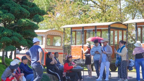 Lâm Đồng thu hút gần 1 triệu khách du lịch Tết Nguyên đán 2026