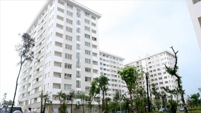 Ai được thuê nhà ở công vụ tại các địa phương thuộc diện sắp xếp?