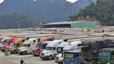 Thủ tướng chỉ đạo tháo gỡ vướng mắc trong triển khai Nghị định 46