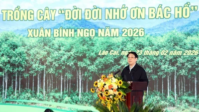Chủ tịch nước dự lễ phát động Tết trồng cây 2026 tại Lào Cai