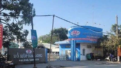 Nhân viên kiểm dịch bị tạm giữ vì nhận hối lộ tại Hải Phòng